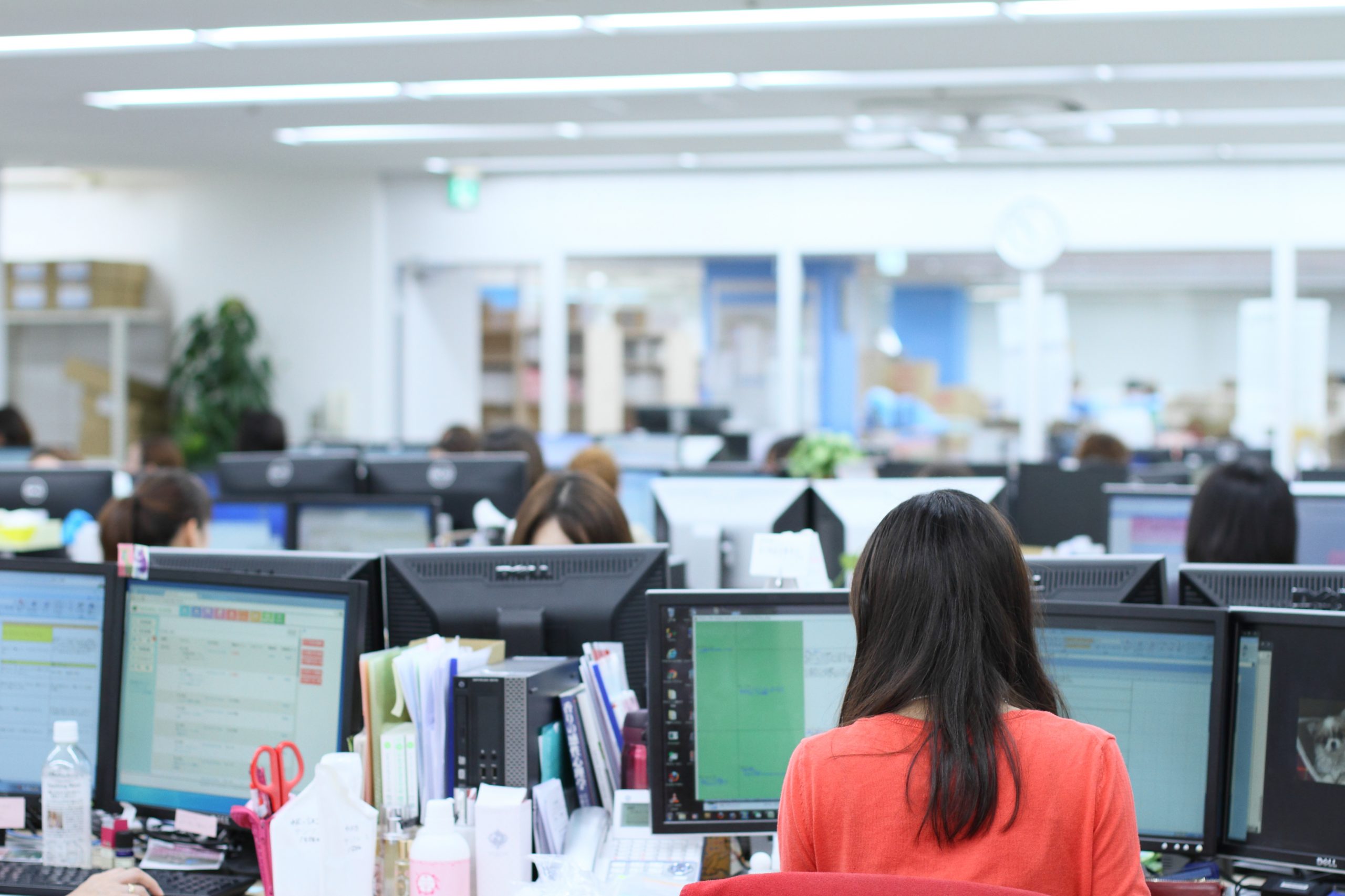 株式会社ナチュラルプランツ 社内風景