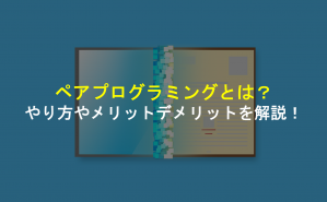 アイキャッチ-ペアプログラミング