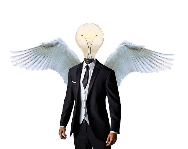 business angel, mentor, businessman