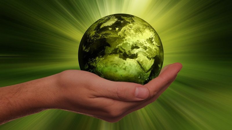 手のひらにグリーンの地球