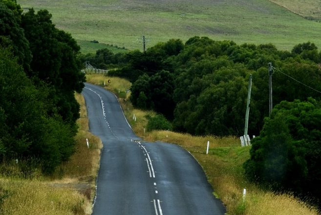 雇用保険被保険者証