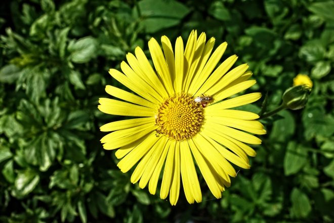 雇用保険被保険者証