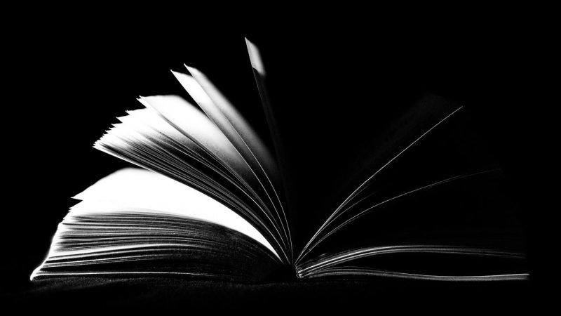 ページが風でめくれている本