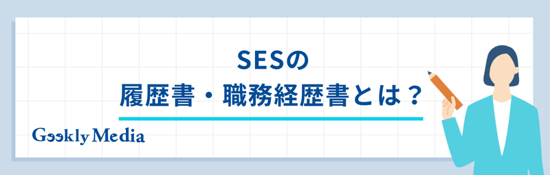 SES 職務経歴書